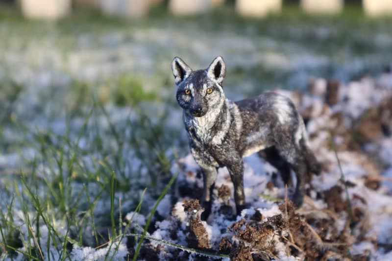 black wolf realistic animal unique figurine sculpture