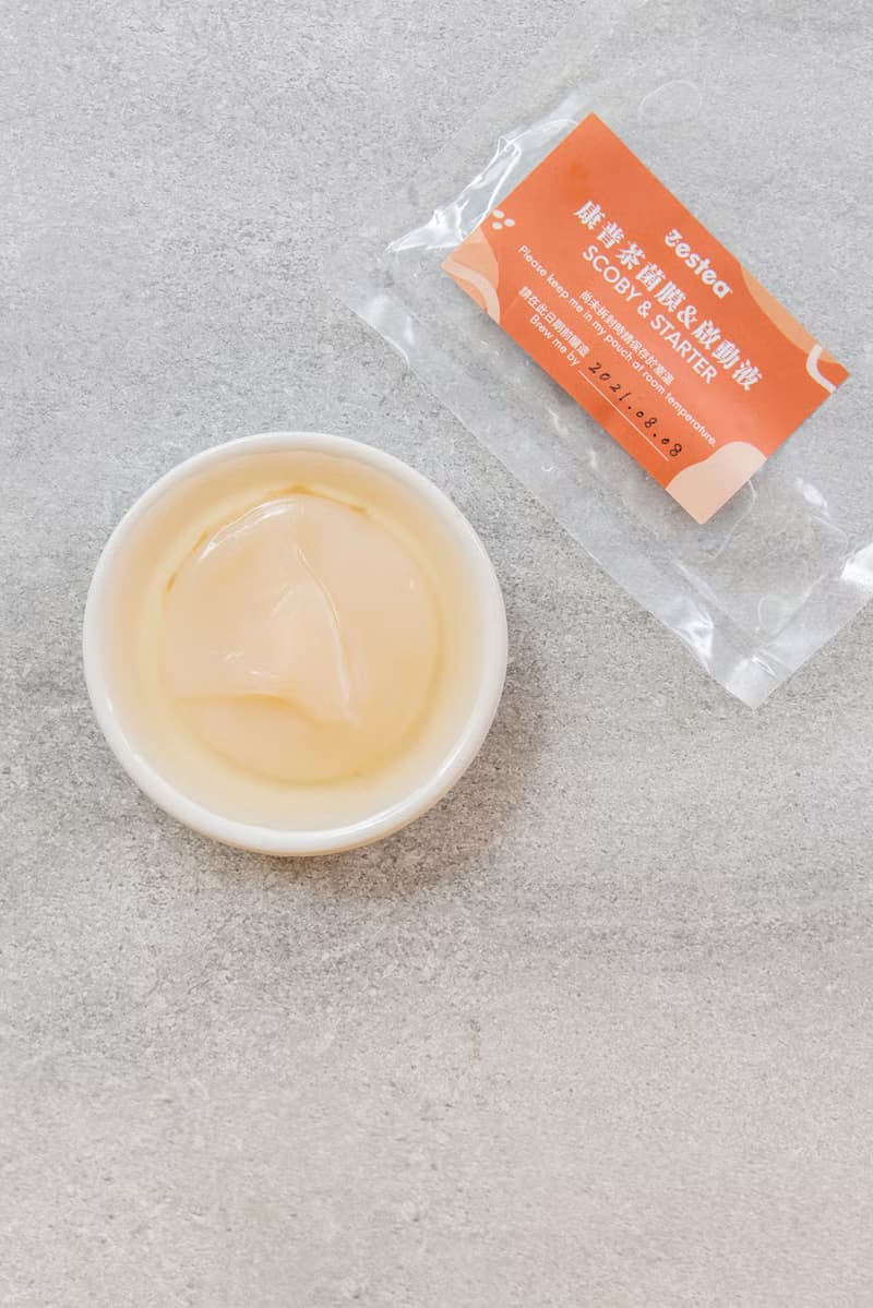 Zestea 康普茶自釀組(新品限量)