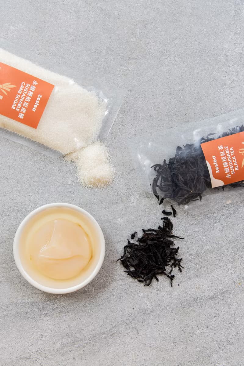 Zestea 康普茶自釀組(新品限量)