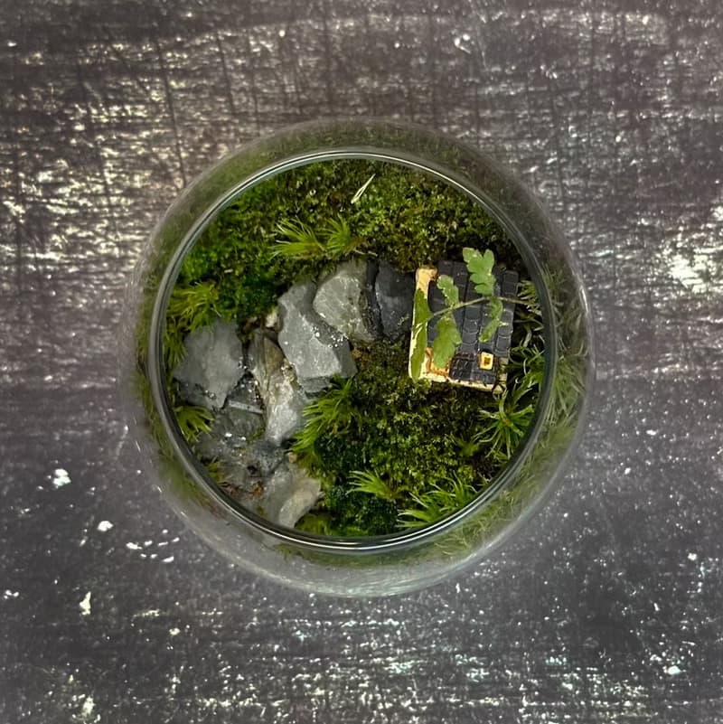 新品上市 綠野小巢 / 迷你掌上型手工微景觀生態盆