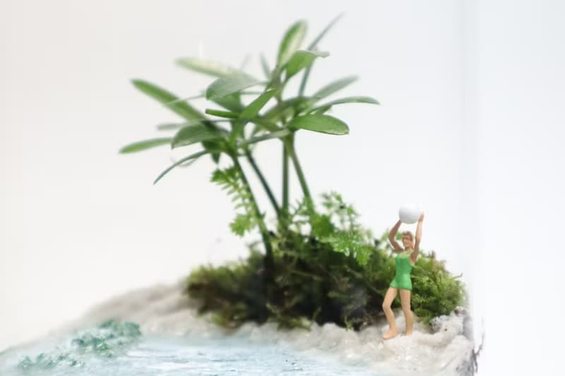 【微景觀】漫悠島 白沙岸 - 渡假/海灘風情/室內植物/生日禮物