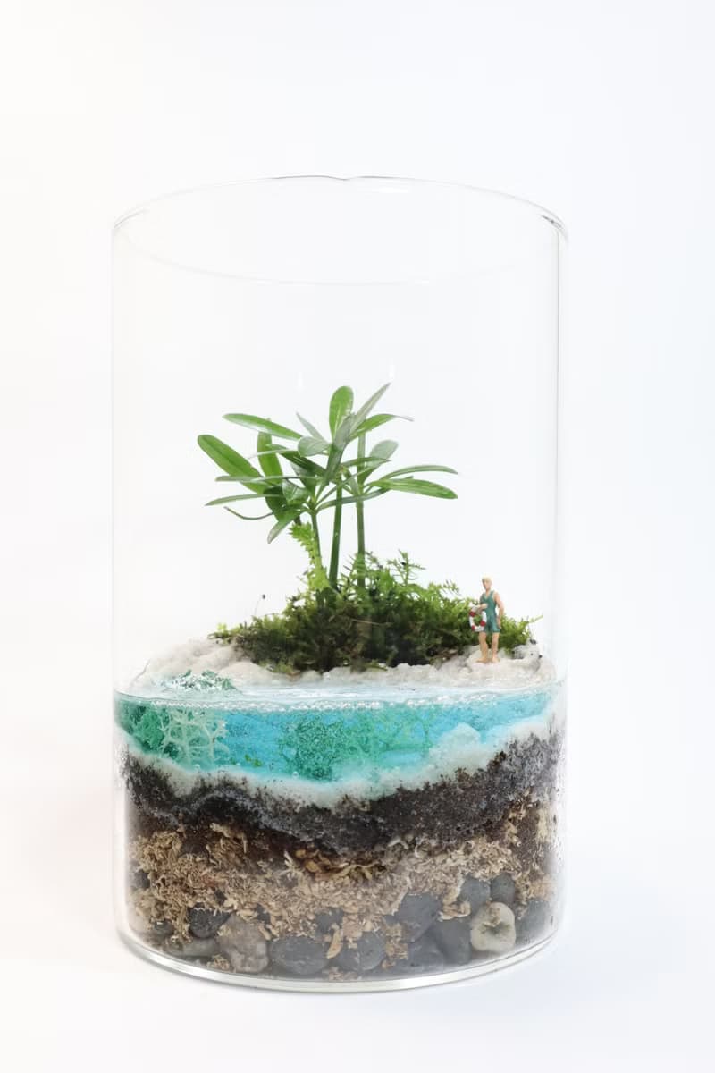 【微景觀】漫悠島 白沙岸 - 渡假/海灘風情/室內植物/生日禮物