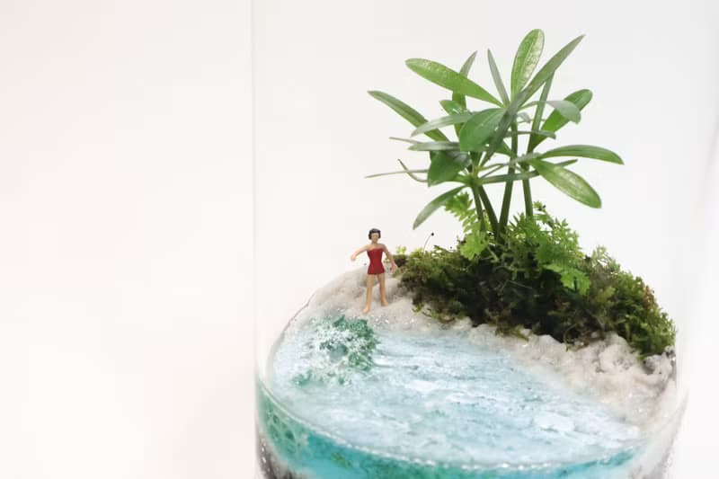 【微景觀】漫悠島 白沙岸 - 渡假/海灘風情/室內植物/生日禮物
