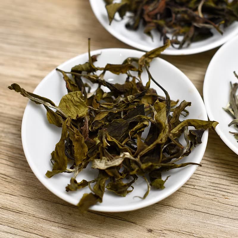 【限量手採】台灣白茶 - 台茶八號 (自然栽培阿薩姆白茶)
