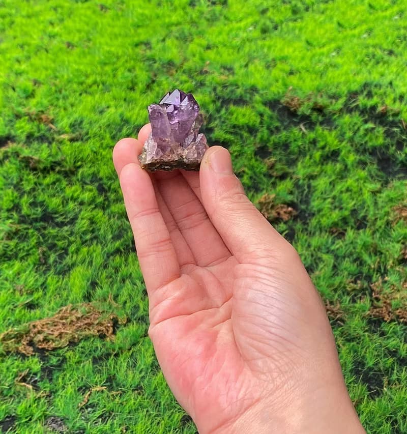 能量擺飾-天然原皮原礦可愛紫水晶晶簇  快速出貨 財運水晶