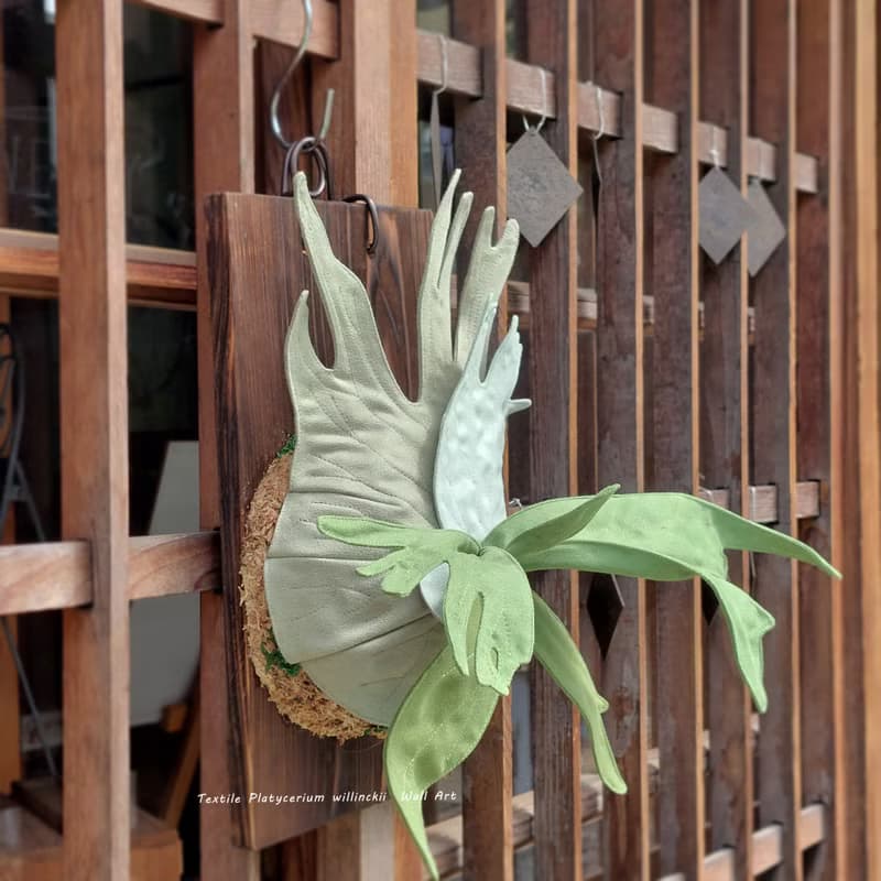 植態寫真-小爪哇鹿角蕨壁掛