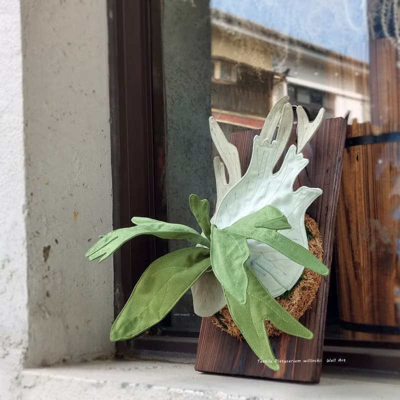 植態寫真-小爪哇鹿角蕨壁掛