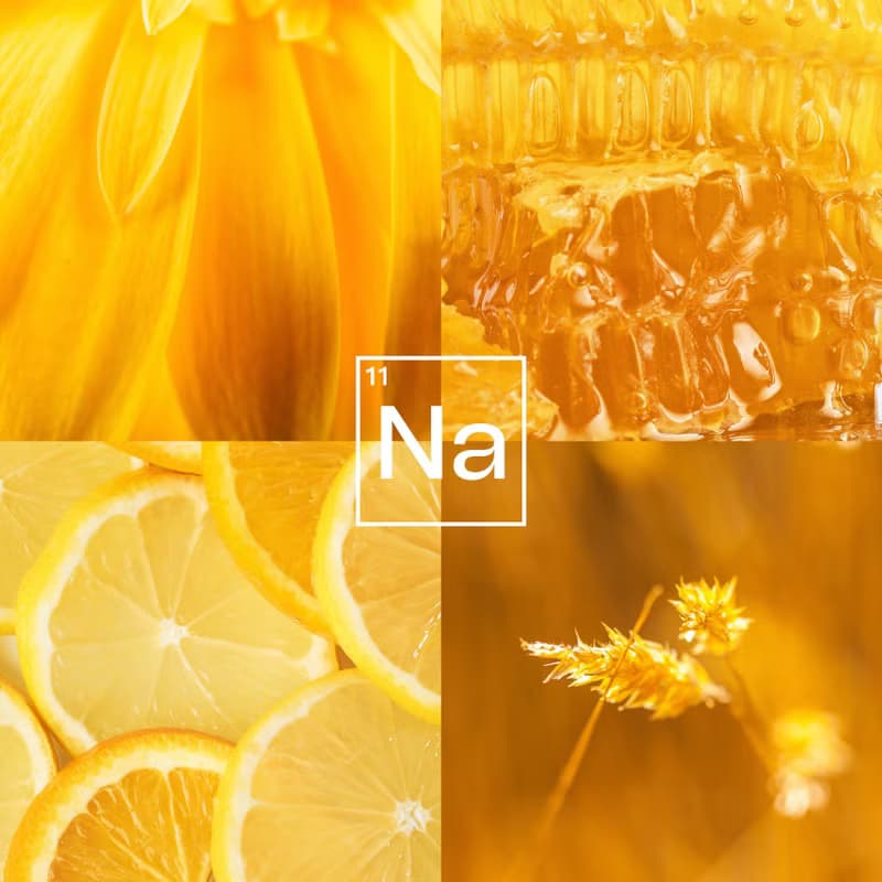 2件85折 | 巴西黃水晶純銀項鍊 (蜜柑黃色 春日花系設計)