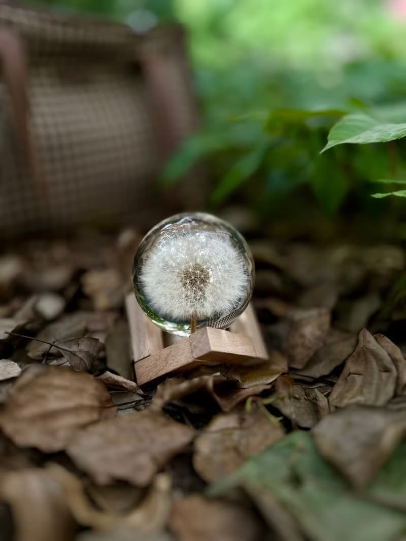 永生花樹脂水晶球系列 配支架