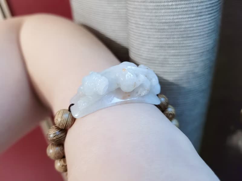 【親翠】天然翡翠 豹型灑金如意尾絕美貔貅手牌