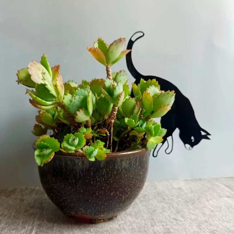 角落小劇場/趣味植栽造型裝飾/喵星人系列共三款/療癒小物/送禮