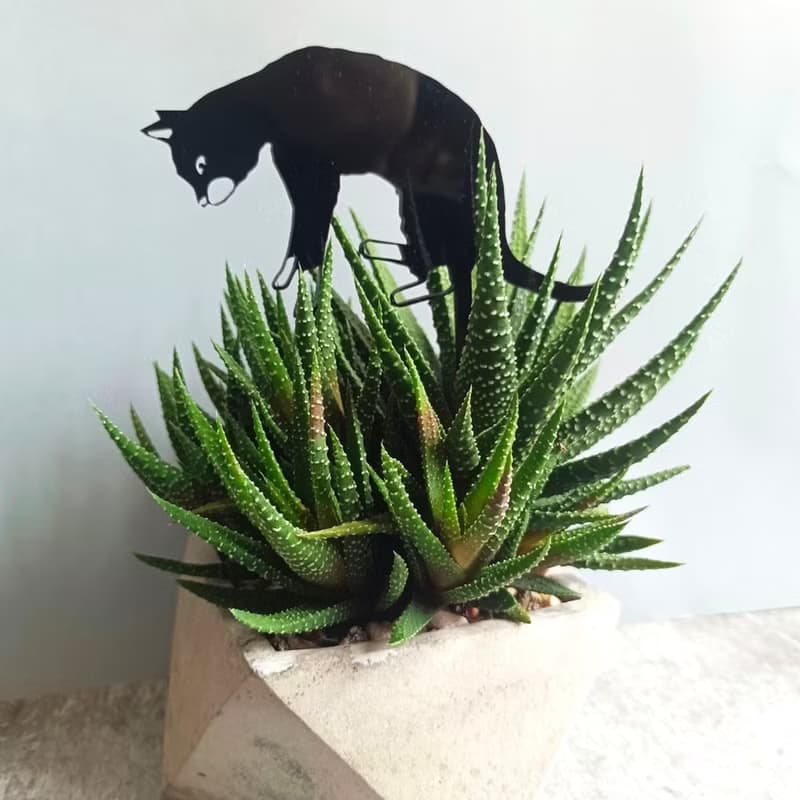 角落小劇場/趣味植栽造型裝飾/喵星人系列共三款/療癒小物/送禮
