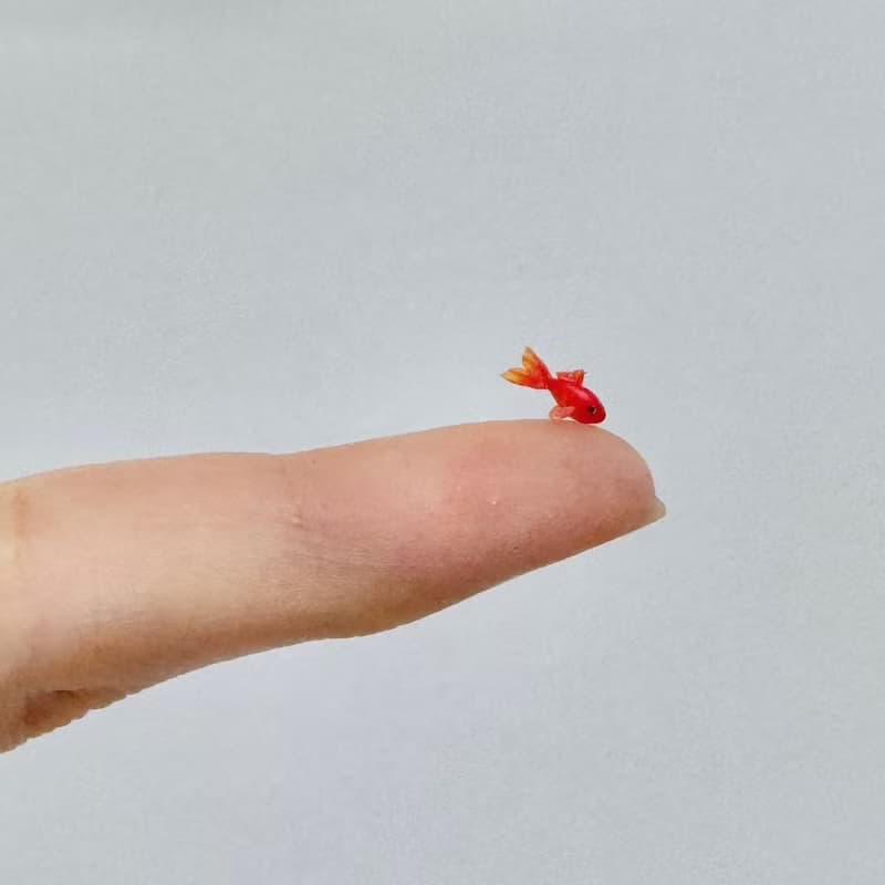 接單製作　原子筆　水族館　金魚