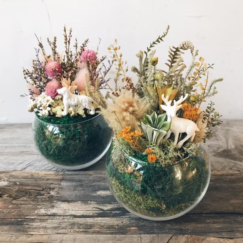 mini zoo 乾燥盆花