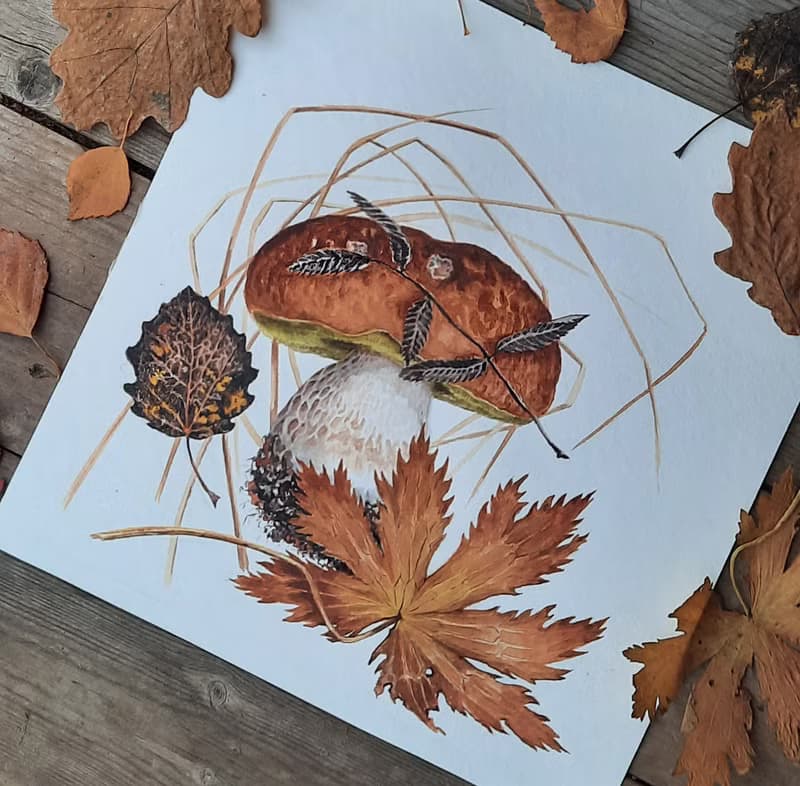 Original watercolor painting. Watercolor mushroom