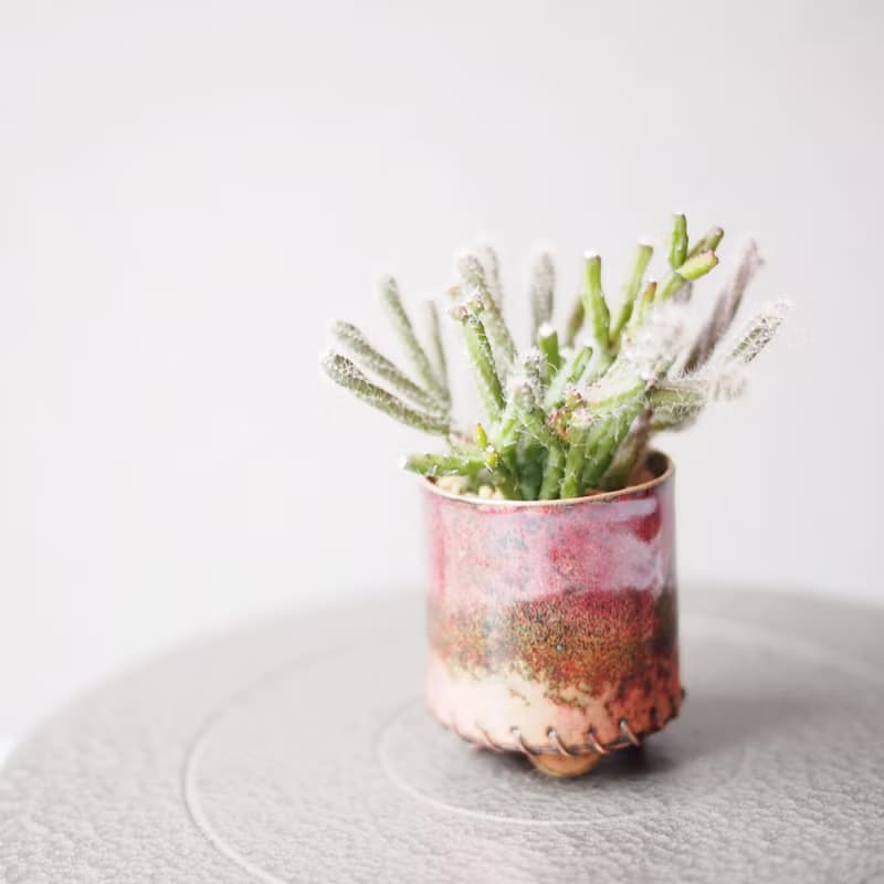 Mini Plant in Maroon琺瑯植栽系列-品紅 │猿戀葦