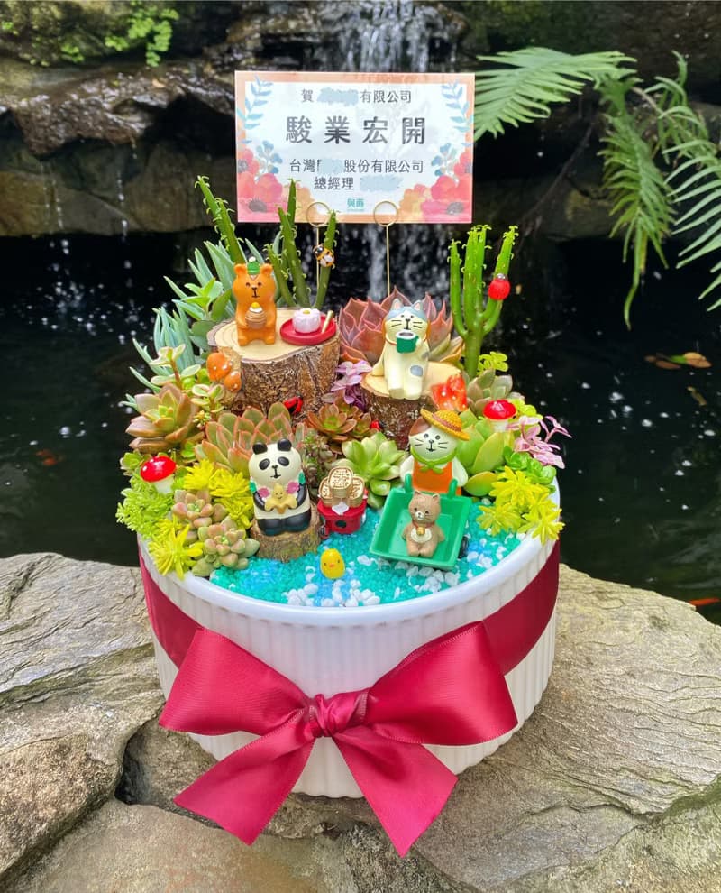【急單可】森林午茶 多肉植物仙人掌/室內植物/免費卡片/安全運送