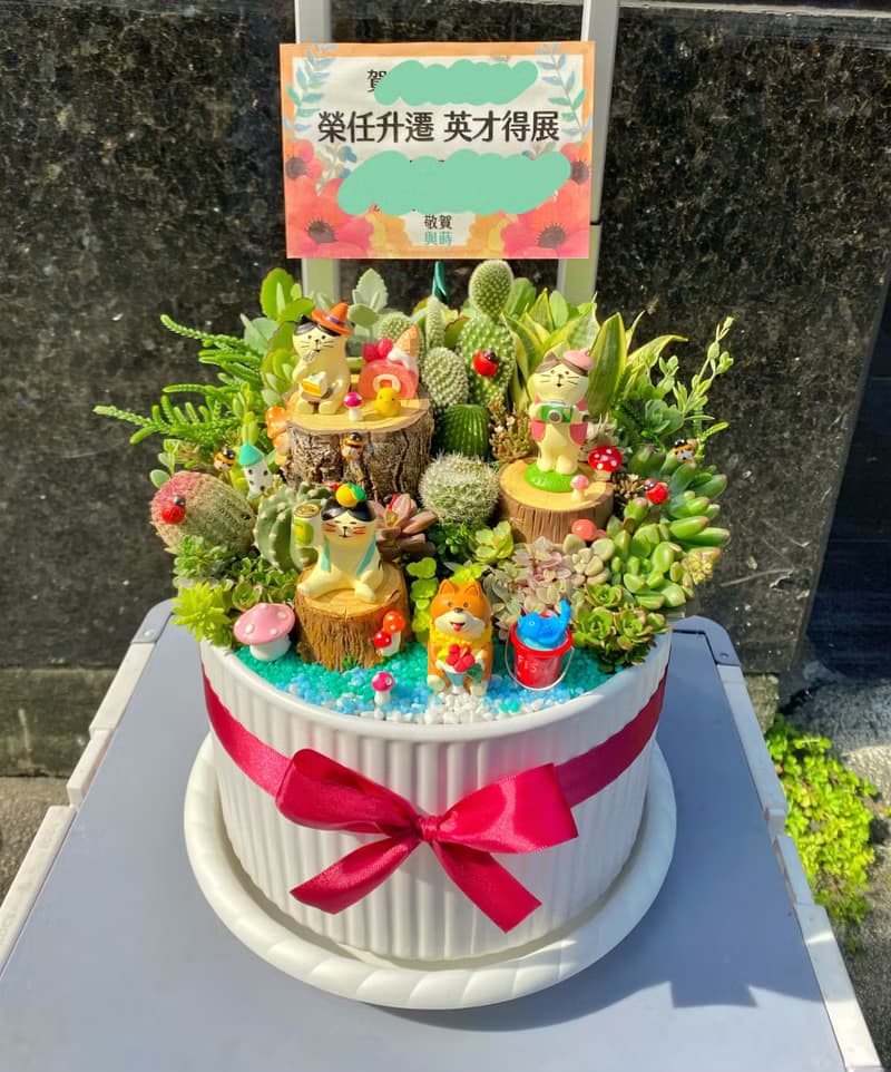 【急單可】森林午茶 多肉植物仙人掌/室內植物/免費卡片/安全運送