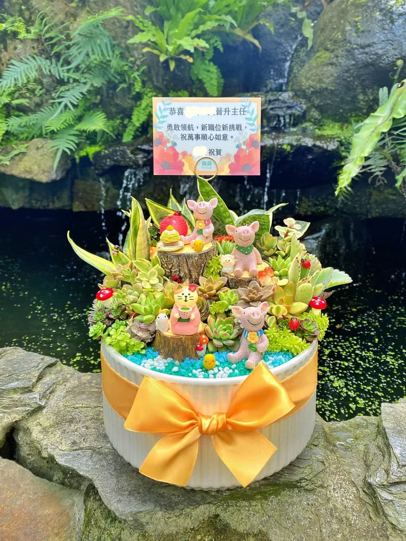 【急單可】森林午茶 多肉植物仙人掌/室內植物/免費卡片/安全運送