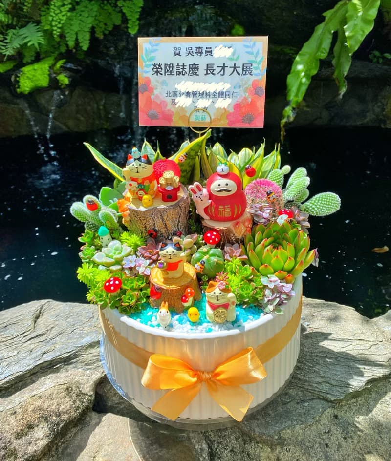 【急單可】森林午茶 多肉植物仙人掌/室內植物/免費卡片/安全運送