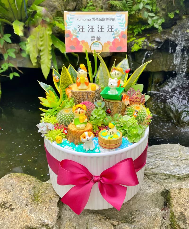 【急單可】森林午茶 多肉植物仙人掌/室內植物/免費卡片/安全運送