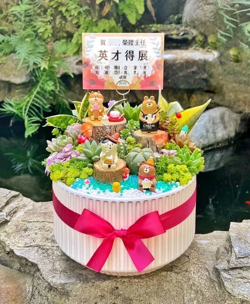 【急單可】森林午茶 多肉植物仙人掌/室內植物/免費卡片/安全運送