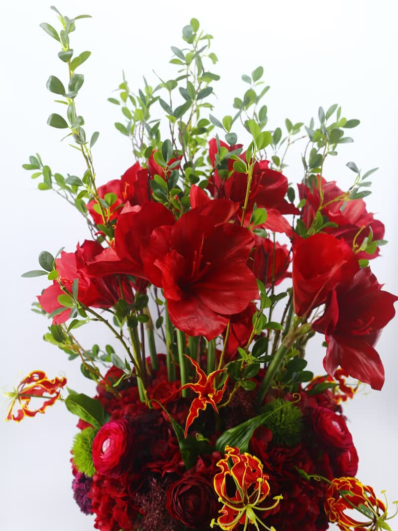 紅君子蘭富貴喜氣香氛花禮 免運專人配送限雙北市 其餘地區需補運