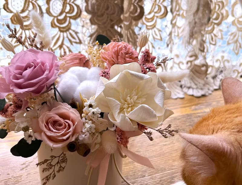 俞造植所 │永生盆花 開幕花禮 喬遷心意推薦