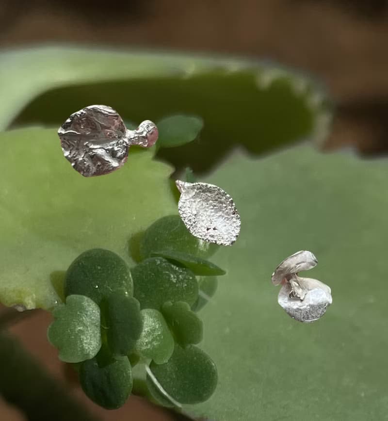 小系列 嫩葉耳釘