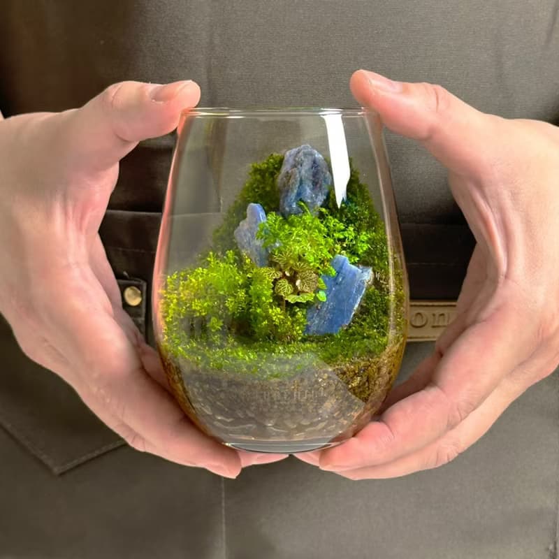 【體驗】共築綠境 / 礦石苔蘚盆手作體驗課_小朋友免費