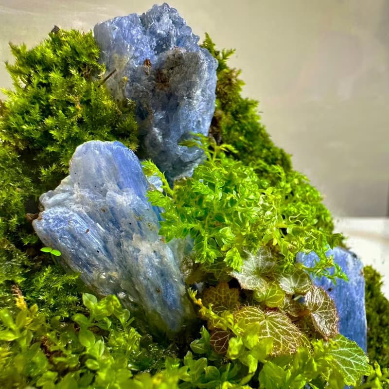 【體驗】共築綠境 / 礦石苔蘚盆手作體驗課_小朋友免費