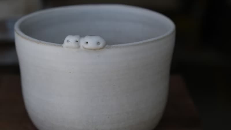 【moi moi】小怪獸手捏質感盆器