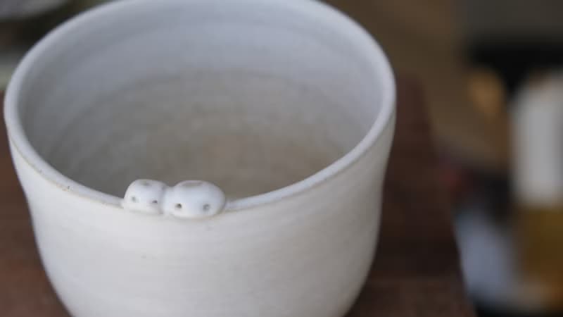 【moi moi】小怪獸手捏質感盆器