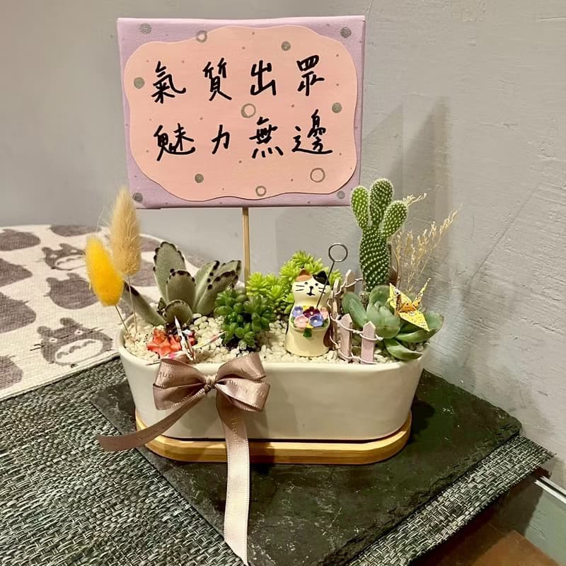 粉紫捧花 貓 台中多肉組盆 多肉植物 植栽送禮 生日 日本decole