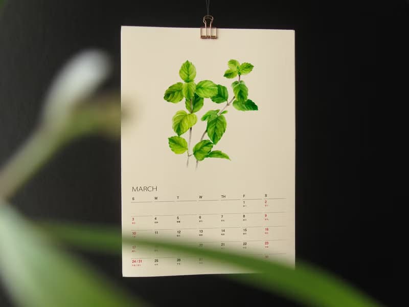 Kitchen Garden 2025 2026年曆掛曆 給植物愛好者的治癒禮物 3