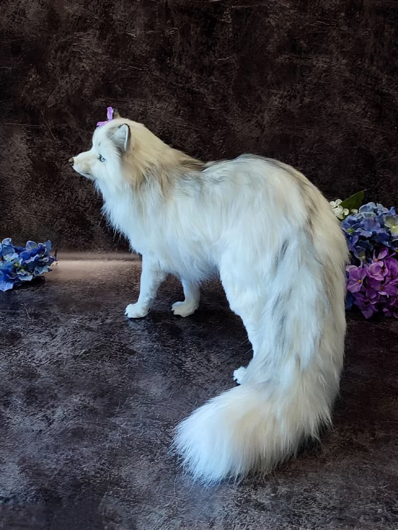 逼真白狐人造毛絨動物內部玩偶 OOAK 毛絨玩具