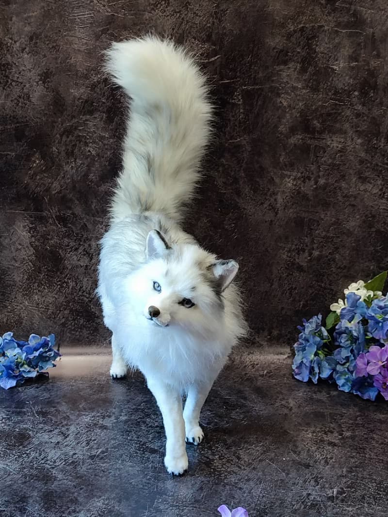 逼真白狐人造毛絨動物內部玩偶 OOAK 毛絨玩具