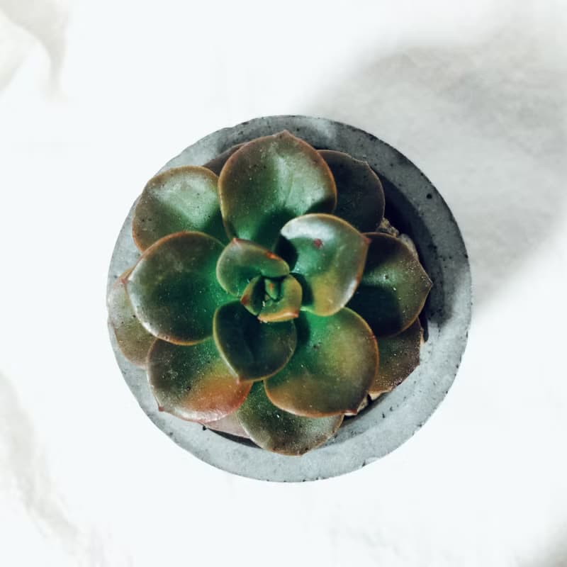 純粹系列-圓柱泥盆/工業灰