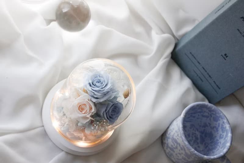 香檳色海洋/永生花夜燈