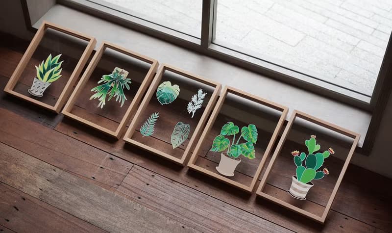 現貨 AHM IARTS 透明系手繪框－植物系列 材料包體驗禮盒