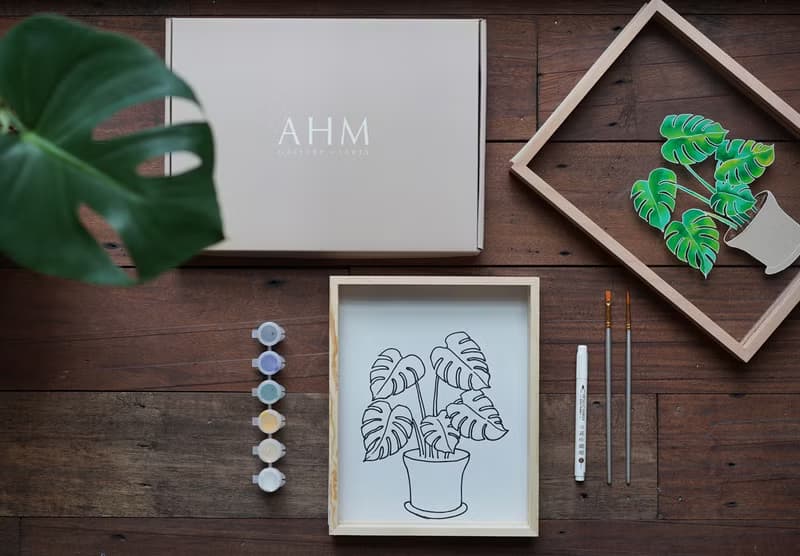 現貨 AHM IARTS 透明系手繪框－植物系列 材料包體驗禮盒