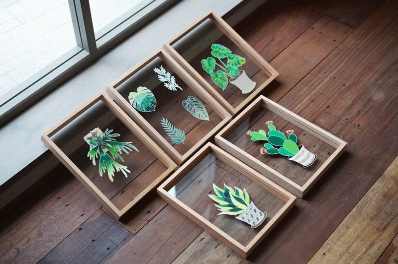 現貨 AHM IARTS 透明系手繪框－植物系列 材料包體驗禮盒