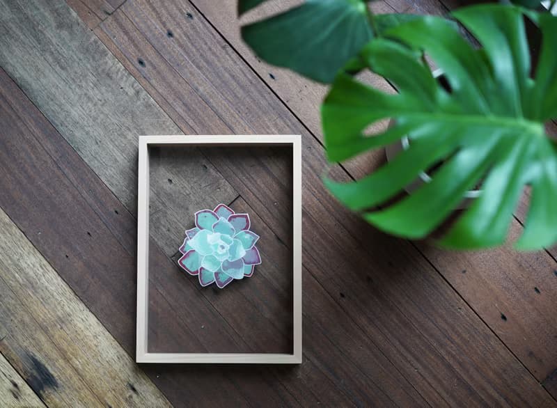 現貨 AHM IARTS 透明系手繪框－植物系列 材料包體驗禮盒