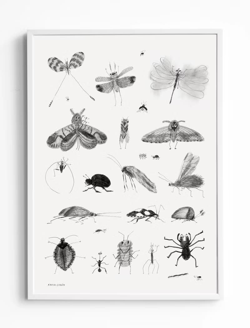 Karin Cyrén  - 瑞典藝術家設計海報 BUGS POSTER 昆蟲蛾