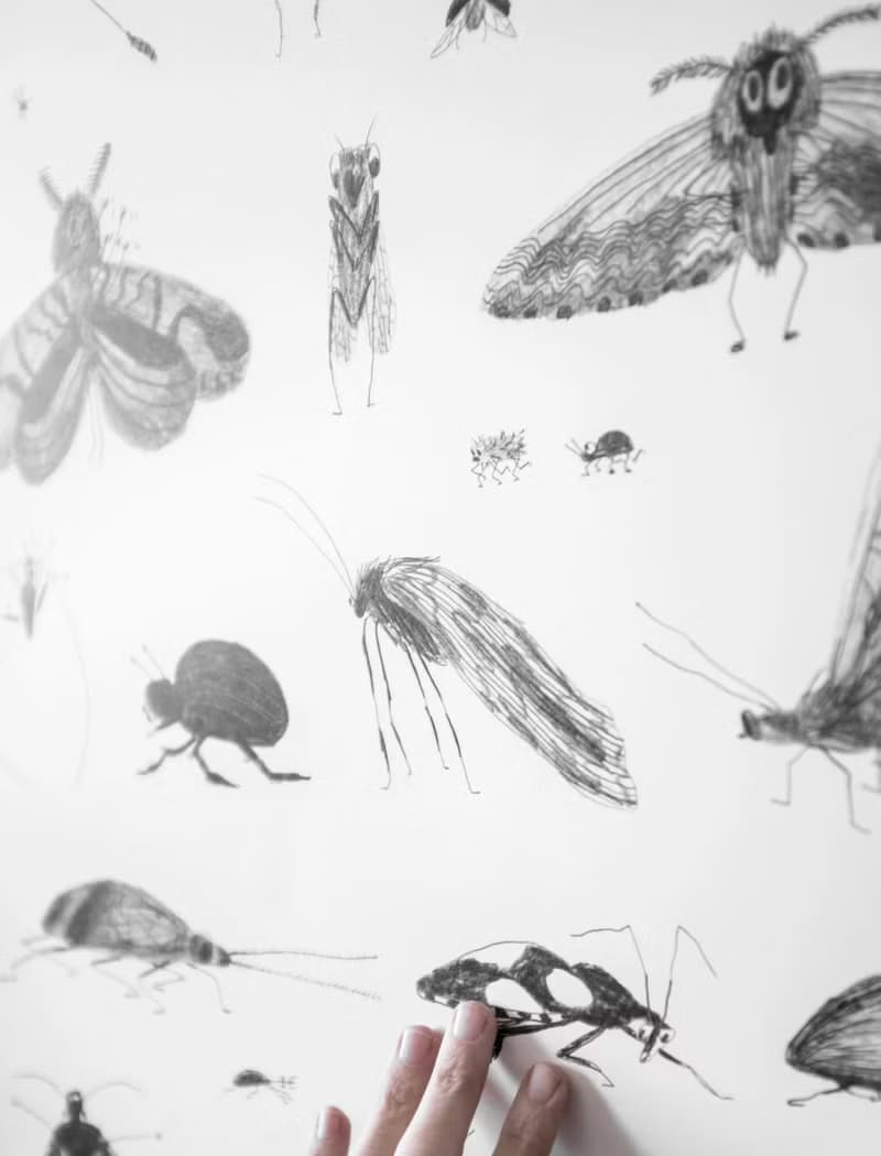 Karin Cyrén  - 瑞典藝術家設計海報 BUGS POSTER 昆蟲蛾