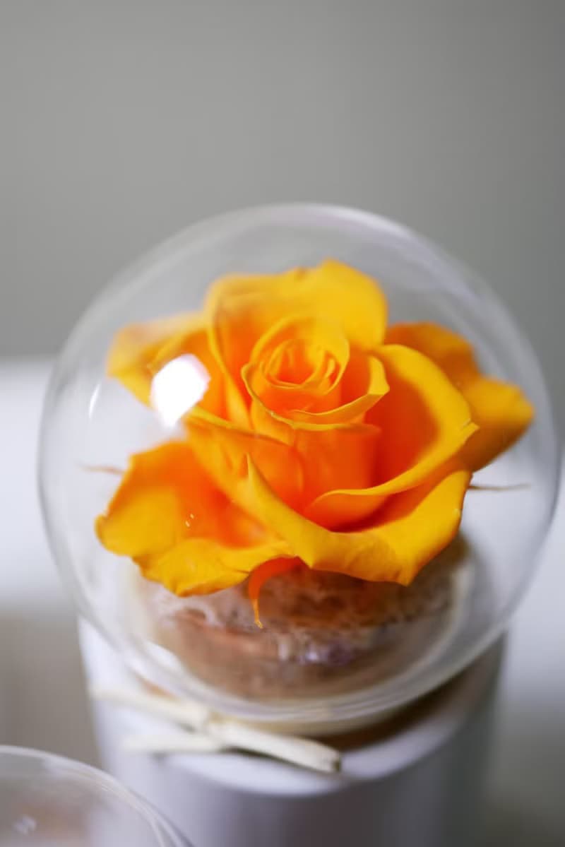 玻璃小花球