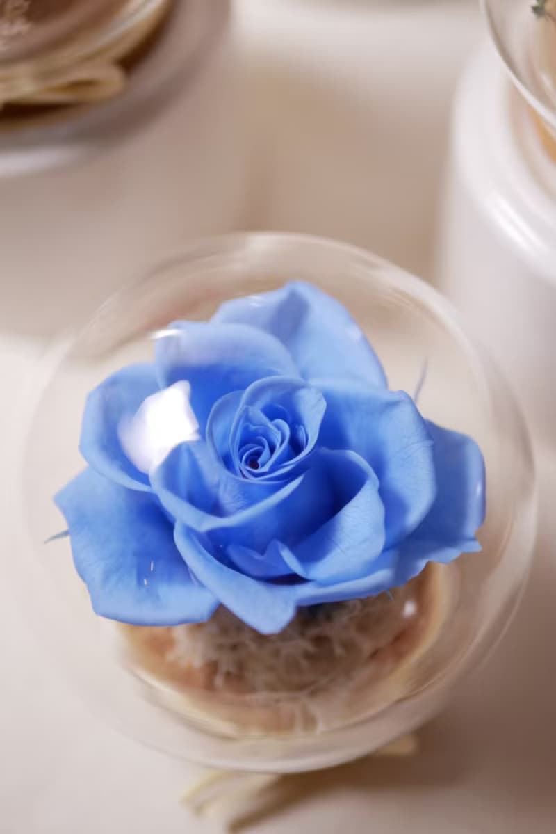 玻璃小花球