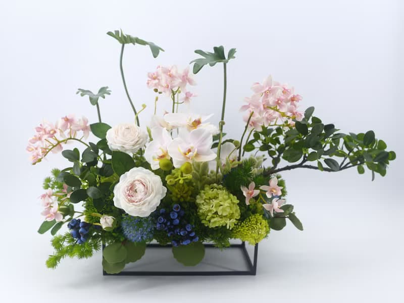 粉茶花蝴蝶蘭香氛花禮 免運專人配送限雙北市 其餘地區需補運費