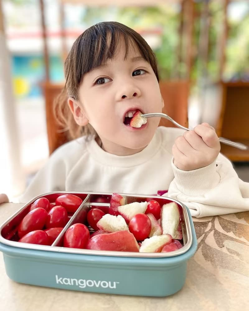 Large兒童餐盒【莫藍迪】不鏽鋼餐盒 便當盒-美國kangovou小袋鼠