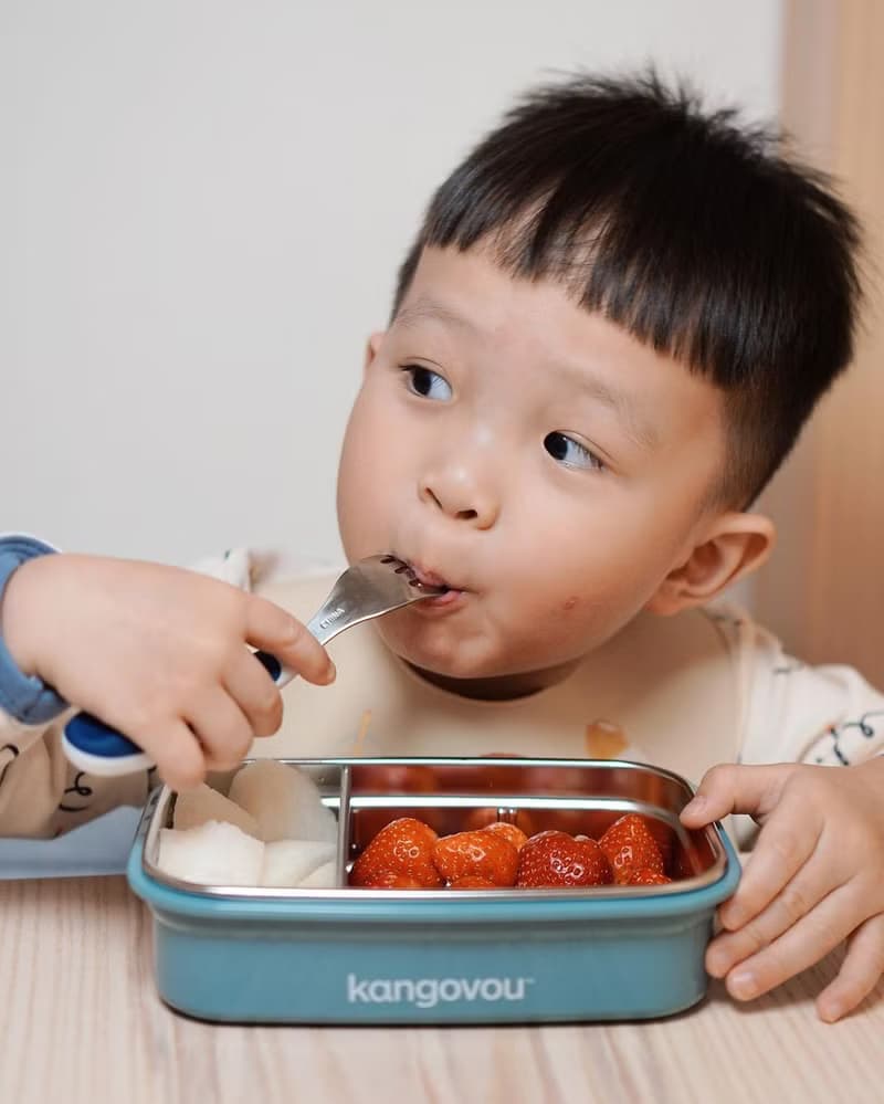 Large兒童餐盒【莫藍迪】不鏽鋼餐盒 便當盒-美國kangovou小袋鼠